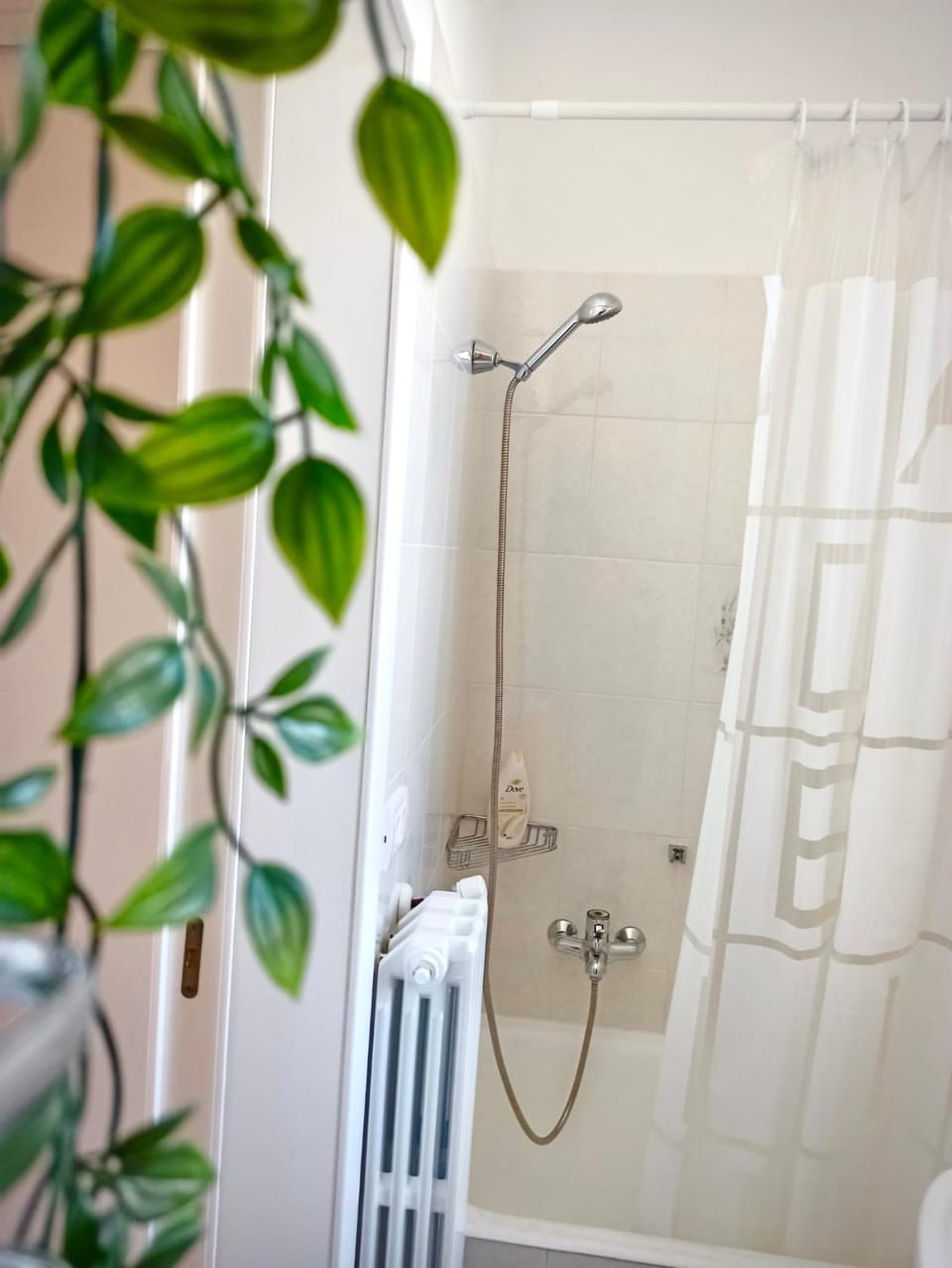 Casa Salento Diso Apartment in Apulia