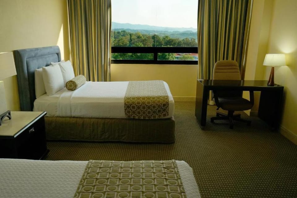 Photo of the whole room, City view, Street view