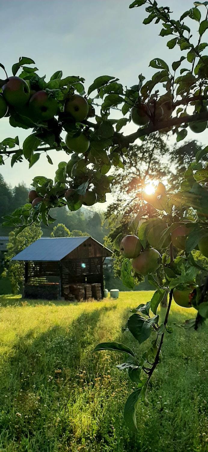 Natural landscape