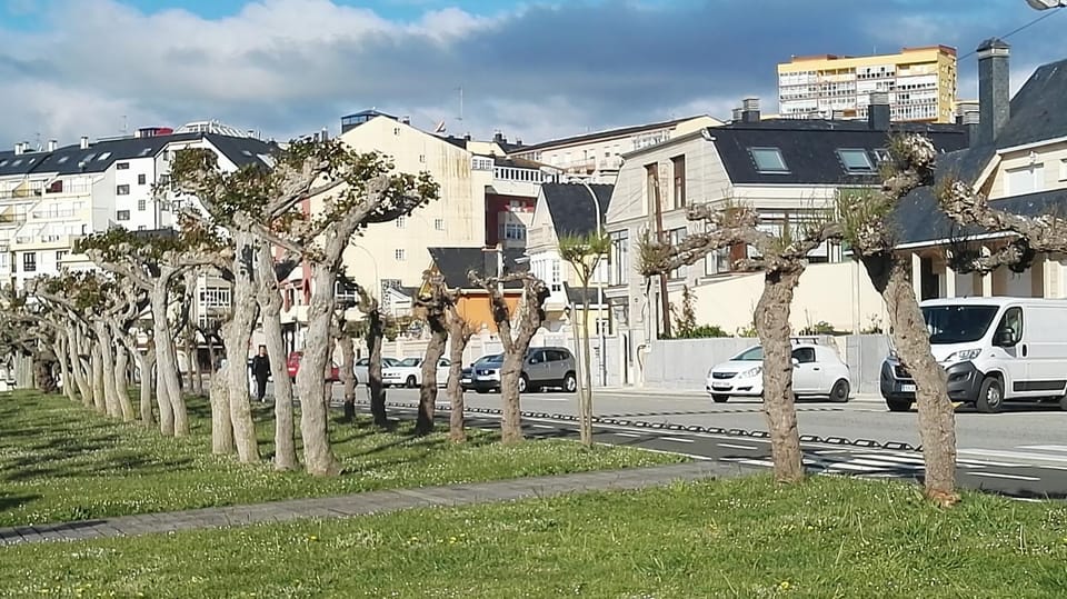 Property building, Neighbourhood