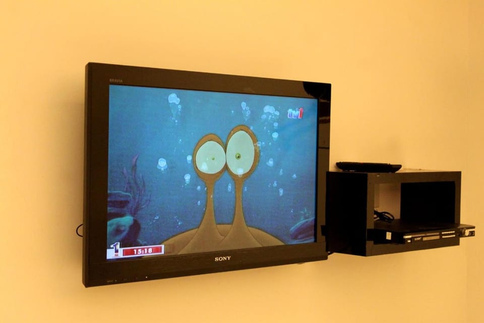 TV and multimedia