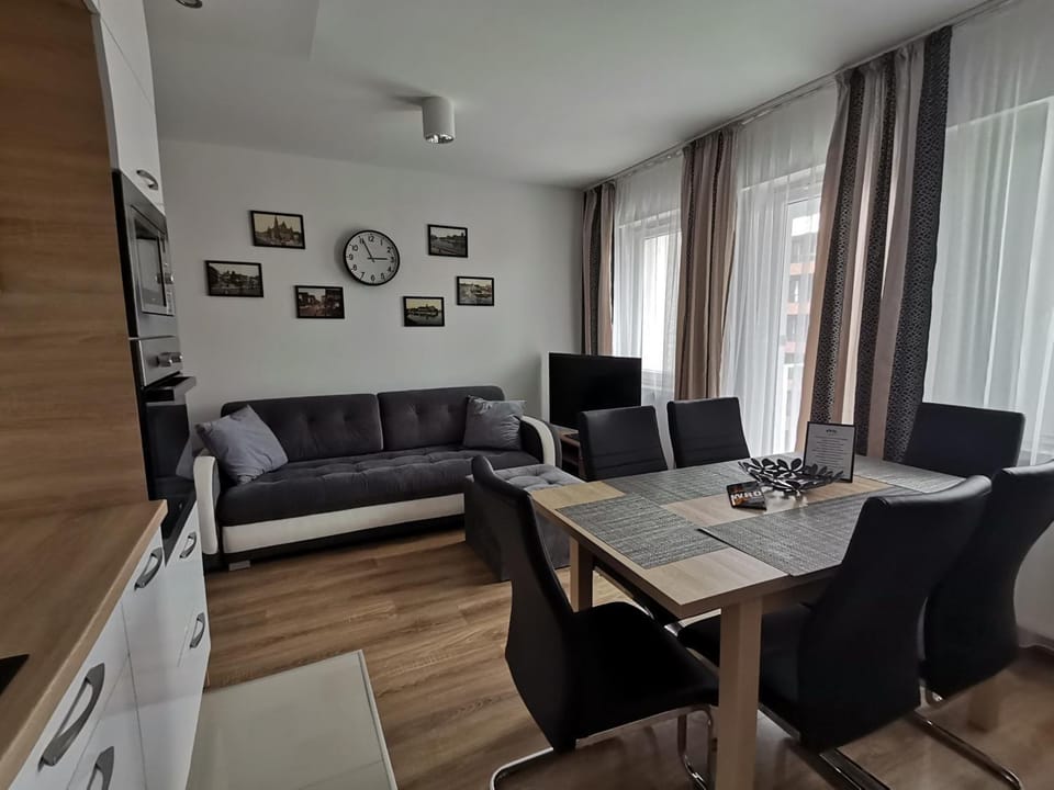 Apartament Dmowskiego - Kępa Mieszczańska Apartment in Wroclaw