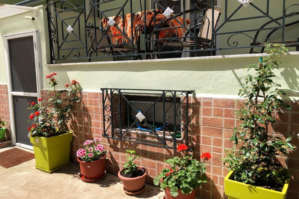 Property building, Garden view