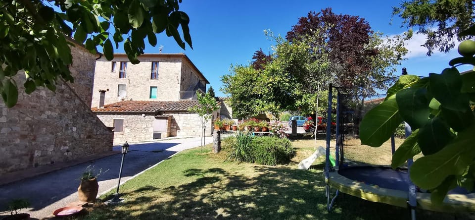 Property building, Garden, Garden, Garden view