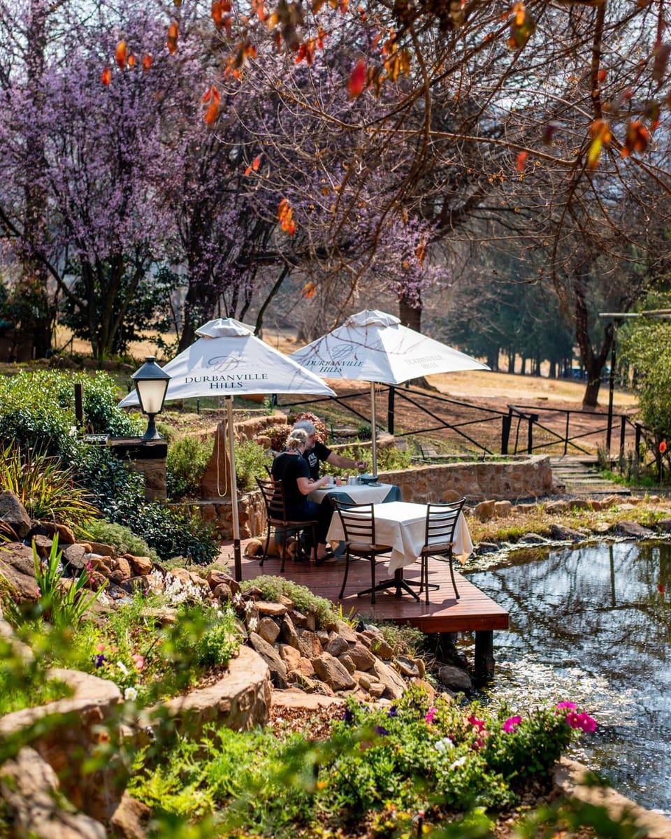 Patio, Restaurant/places to eat, People, Breakfast