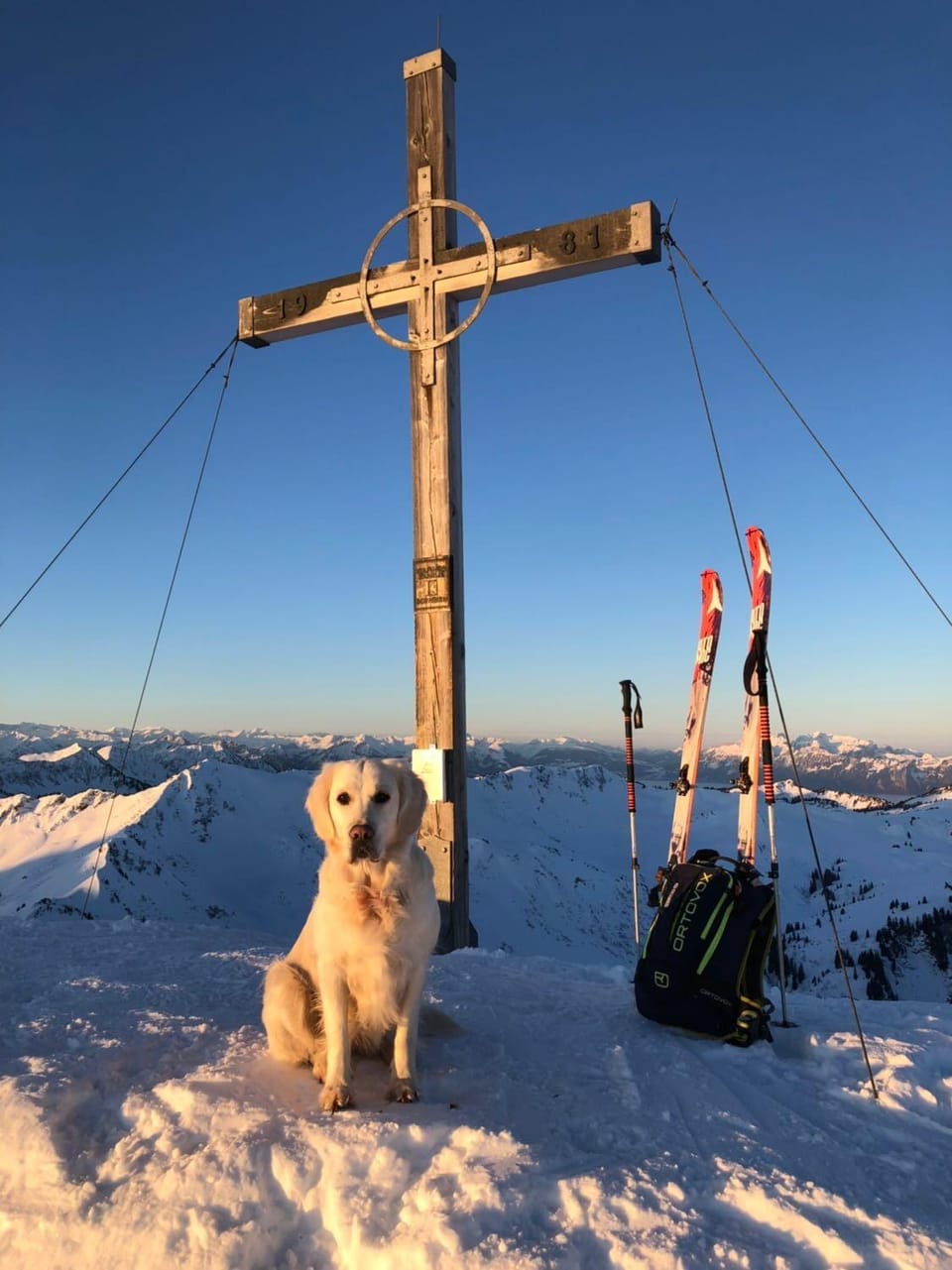 Skiing, Pets, Sports