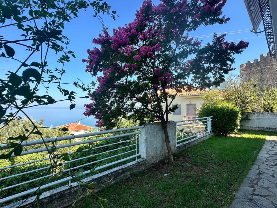 Villa pinelopi House in Messenia