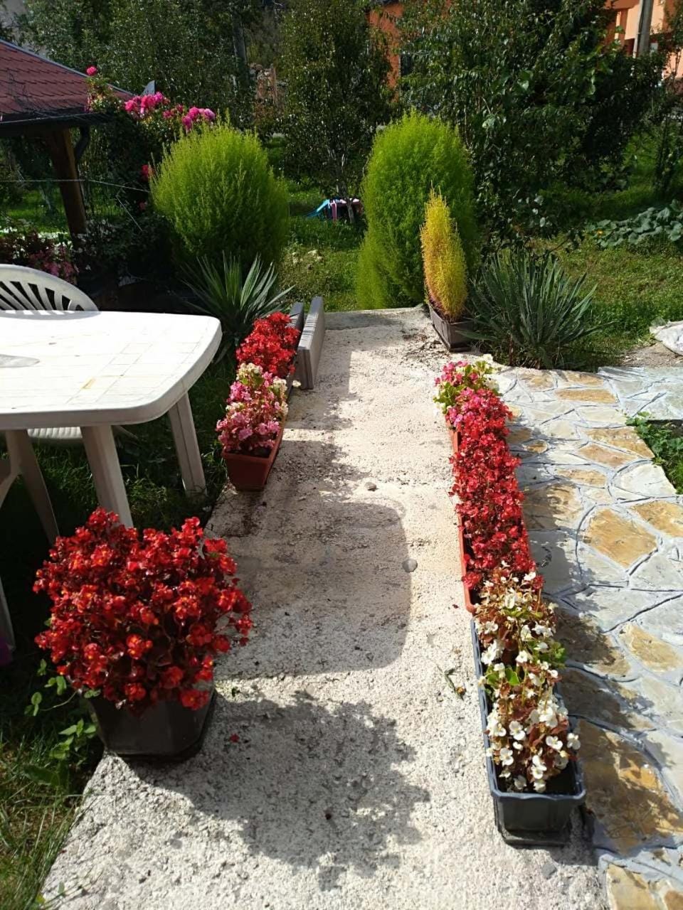 Apartment Beganovic-Centar Apartment in Lika-Senj County
