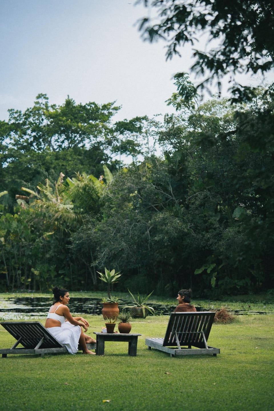 Spring, People, Garden view, group of guests, sunbed