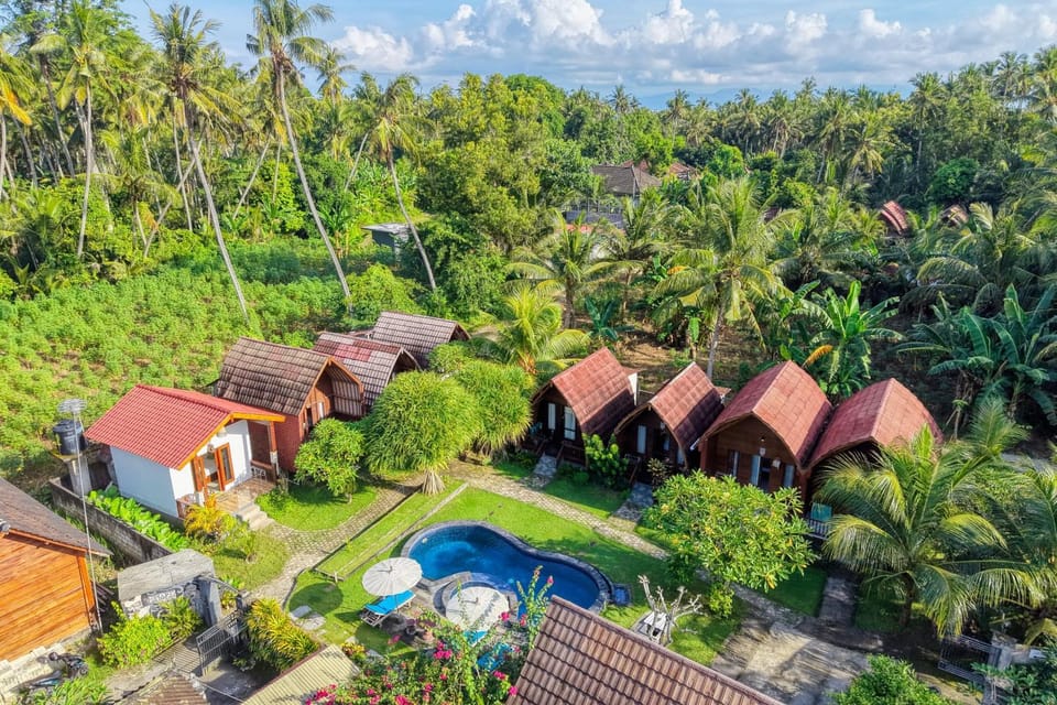 Property building, Natural landscape, Garden, Garden view, Pool view, Swimming pool