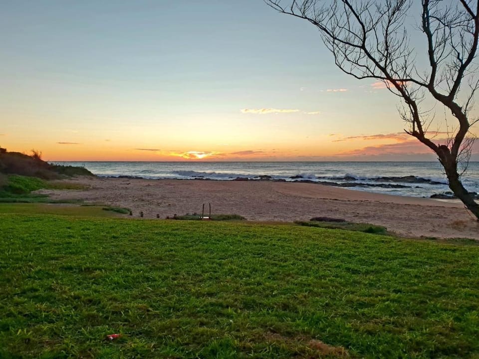 Garden, Beach