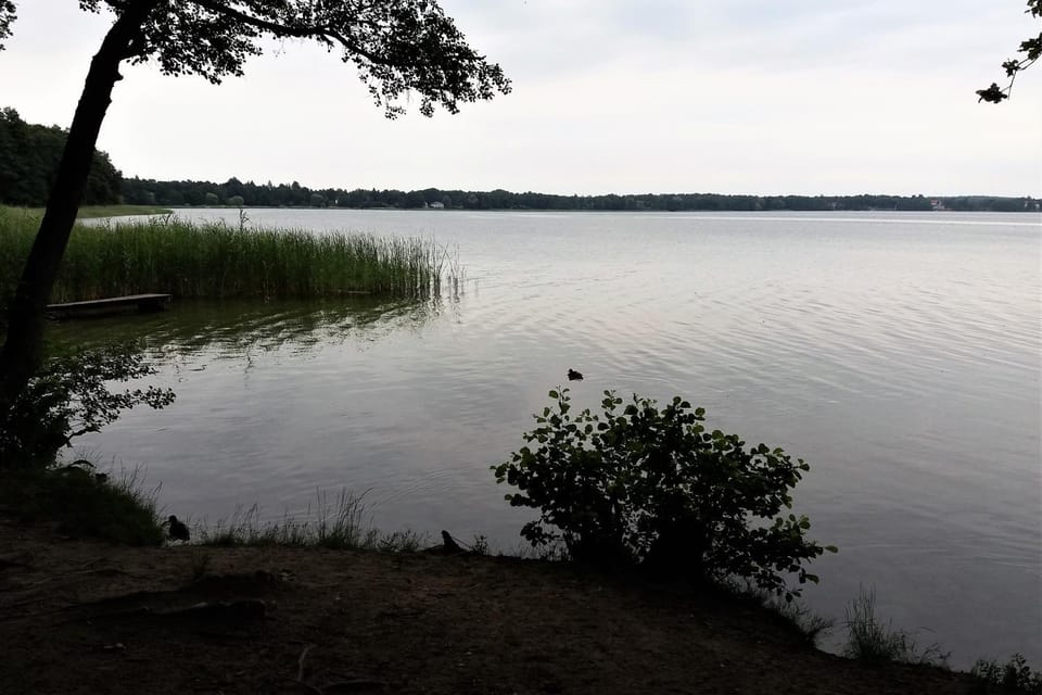 Natural landscape
