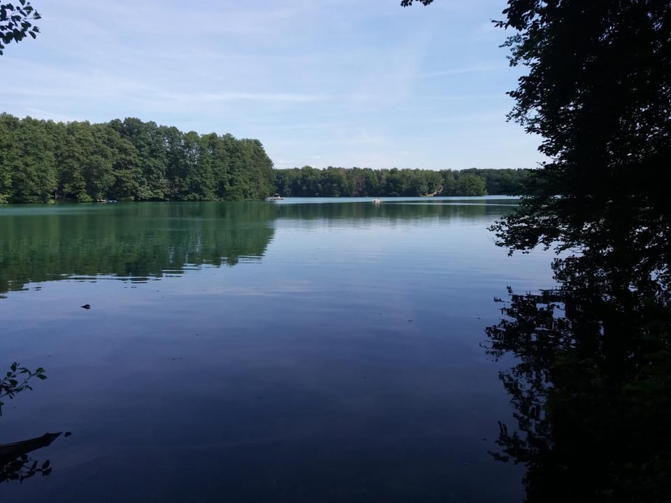Natural landscape