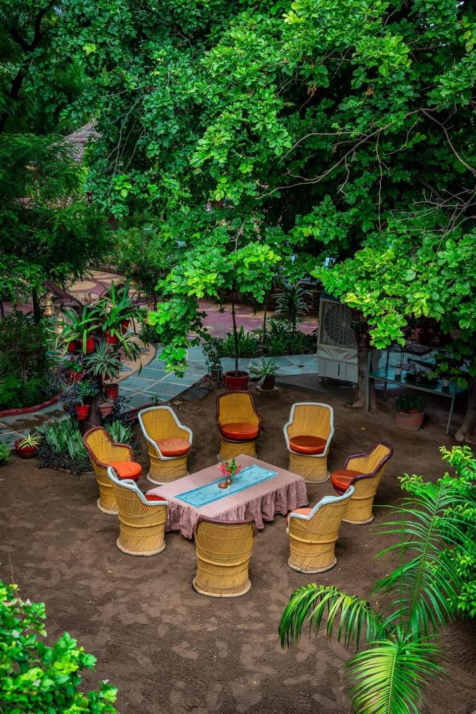 Garden