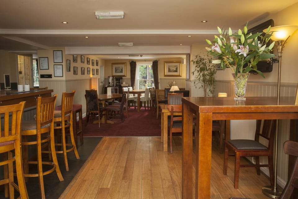 Lounge or bar