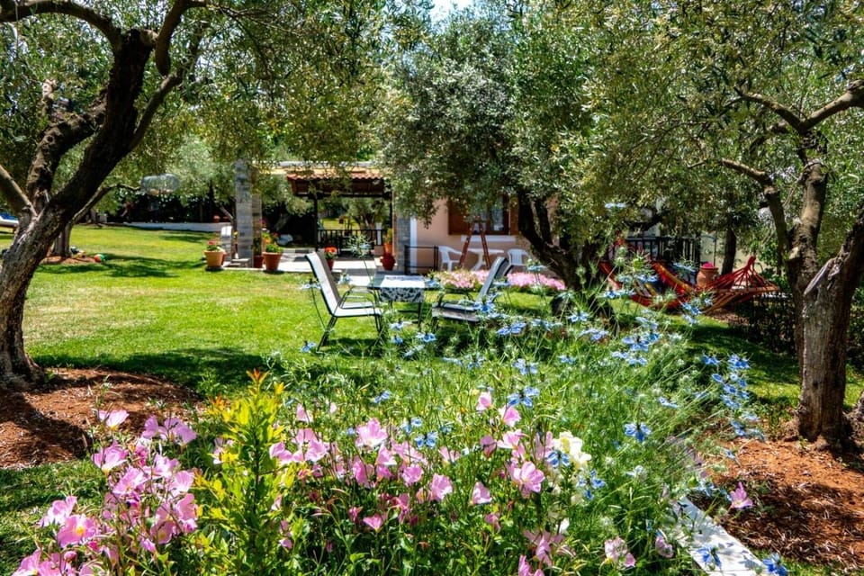 Small Paradise House in Halkidiki