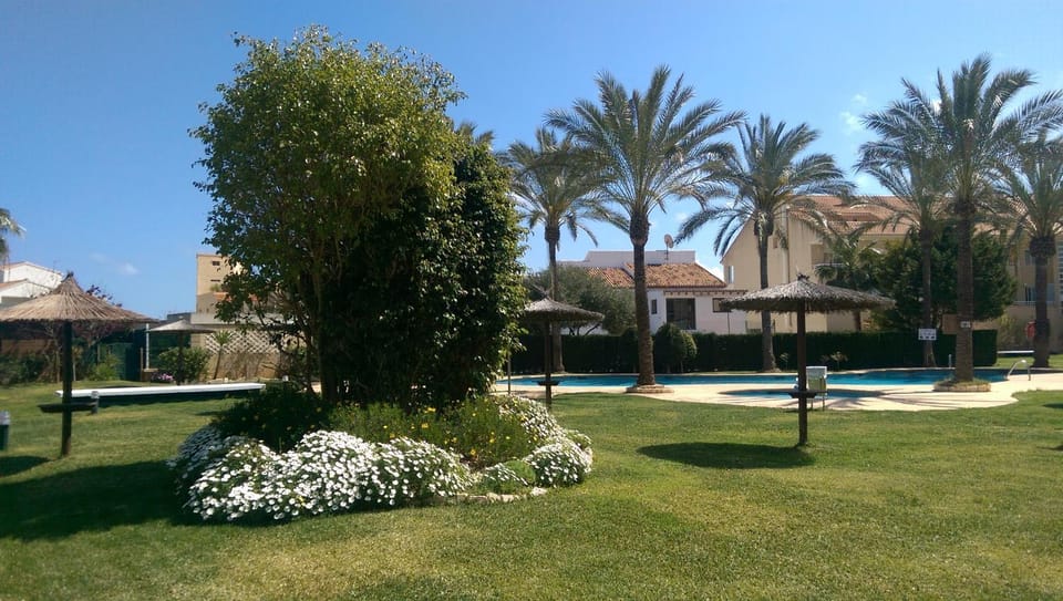 Garden view