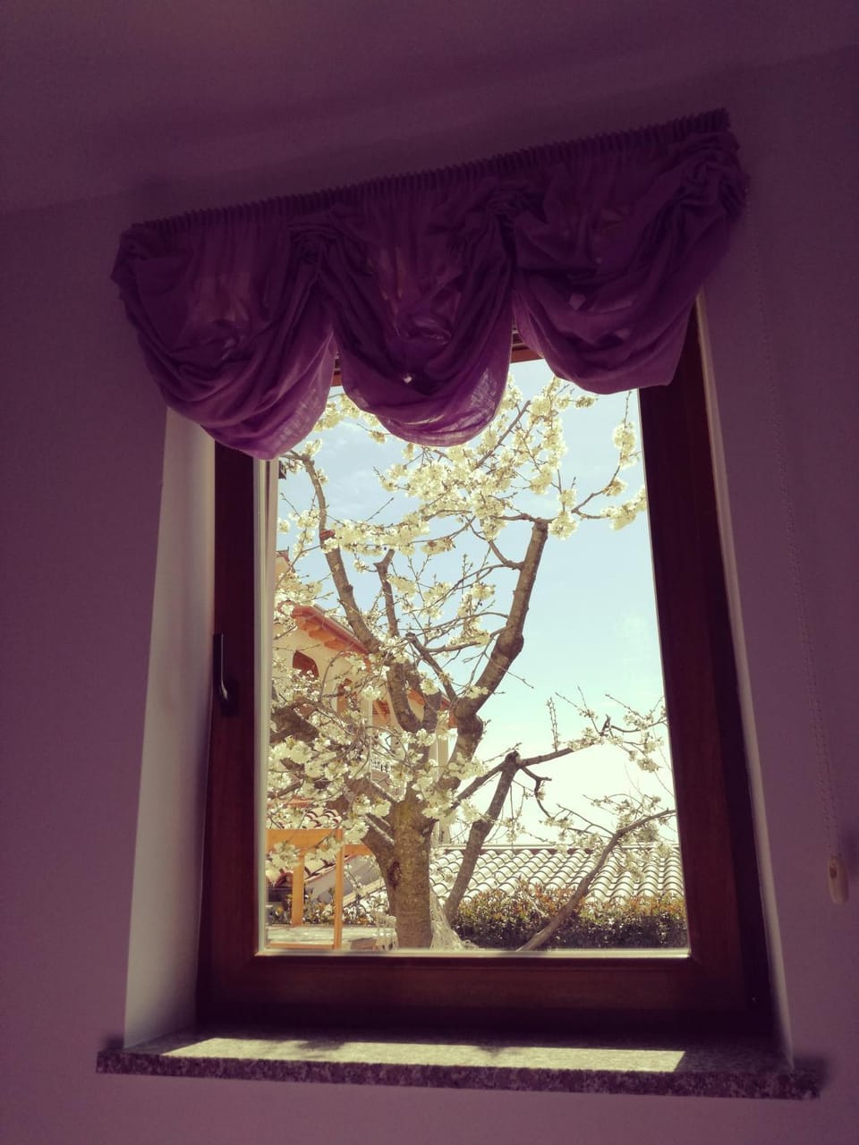 Garden view