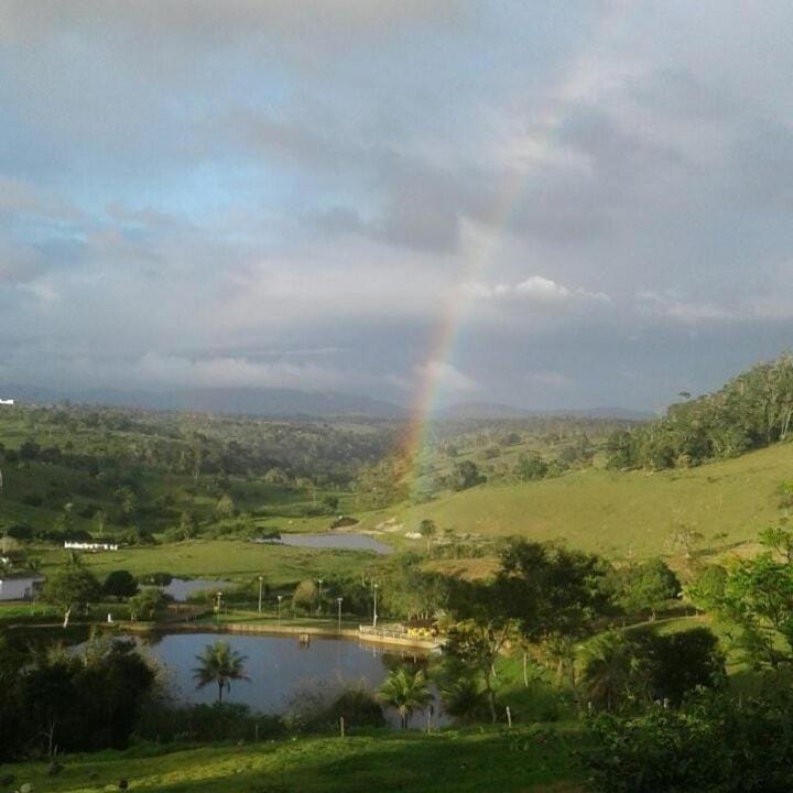 Natural landscape, Lake view