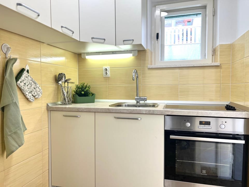 Kitchen or kitchenette, dishwasher, stove
