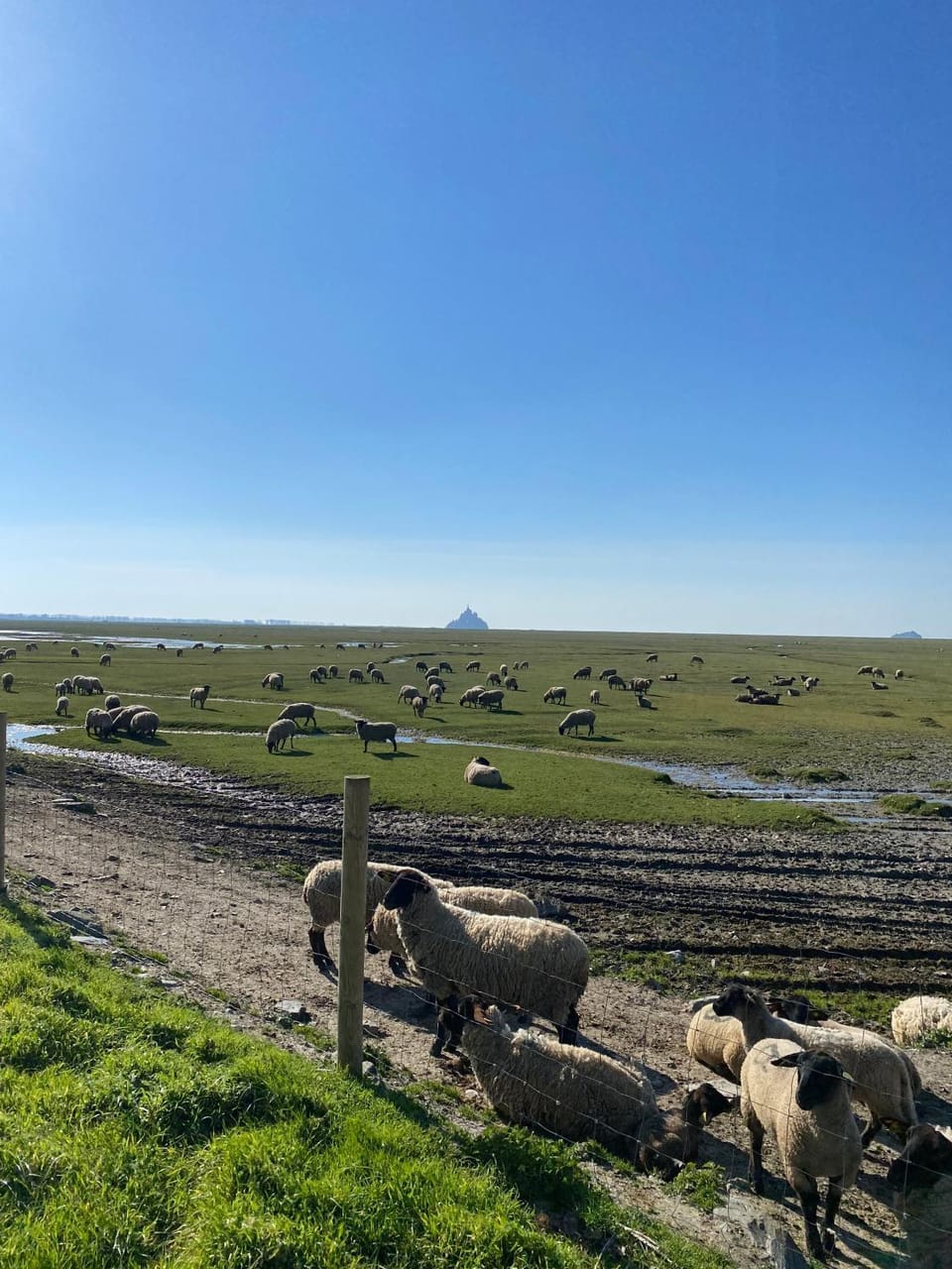 Nearby landmark, Natural landscape