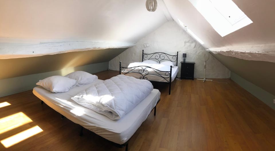 Photo of the whole room