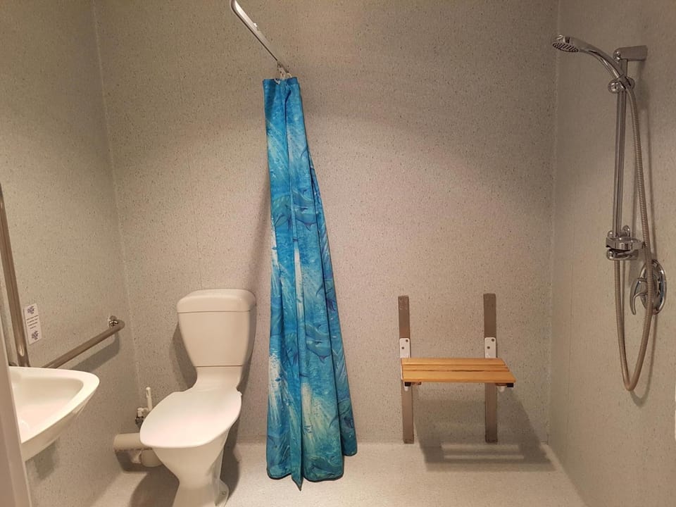 Shower, Toilet, Bathroom, acessibility