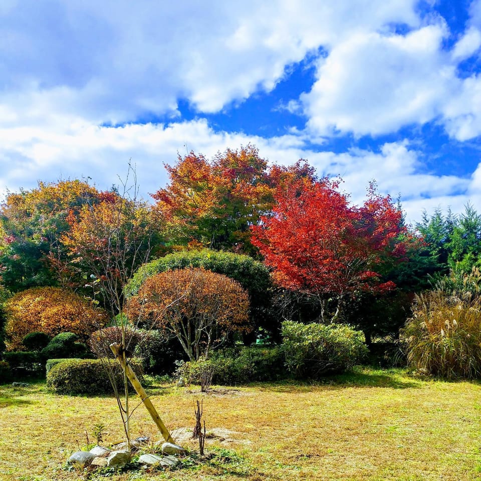 Garden view