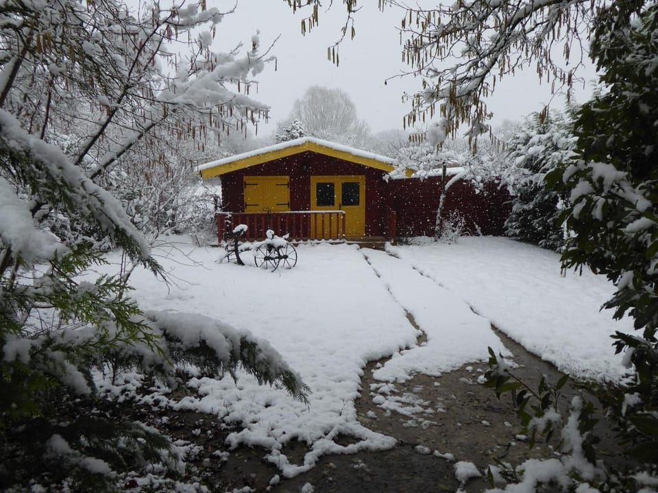 Chalet aux pied des vignes Bed and Breakfast in Centre-Val de Loire