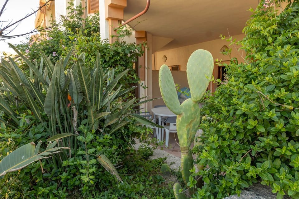 Patio, Facade/entrance, Garden, Balcony/Terrace