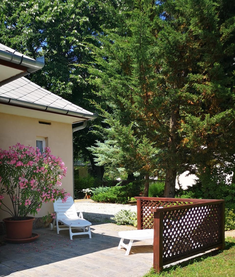 Property building, Garden, Parking, sunbed