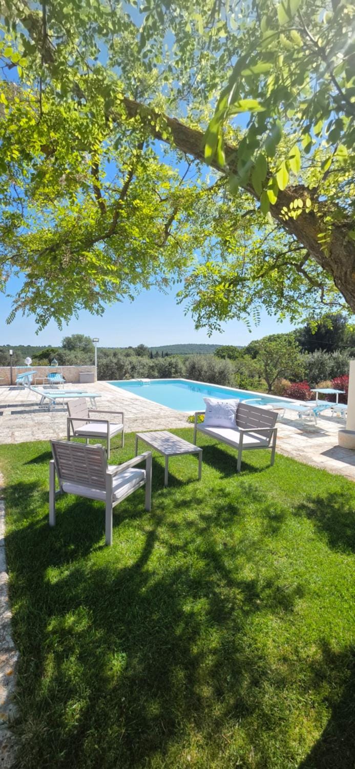 Day, Natural landscape, Garden, Garden view, Pool view, Swimming pool