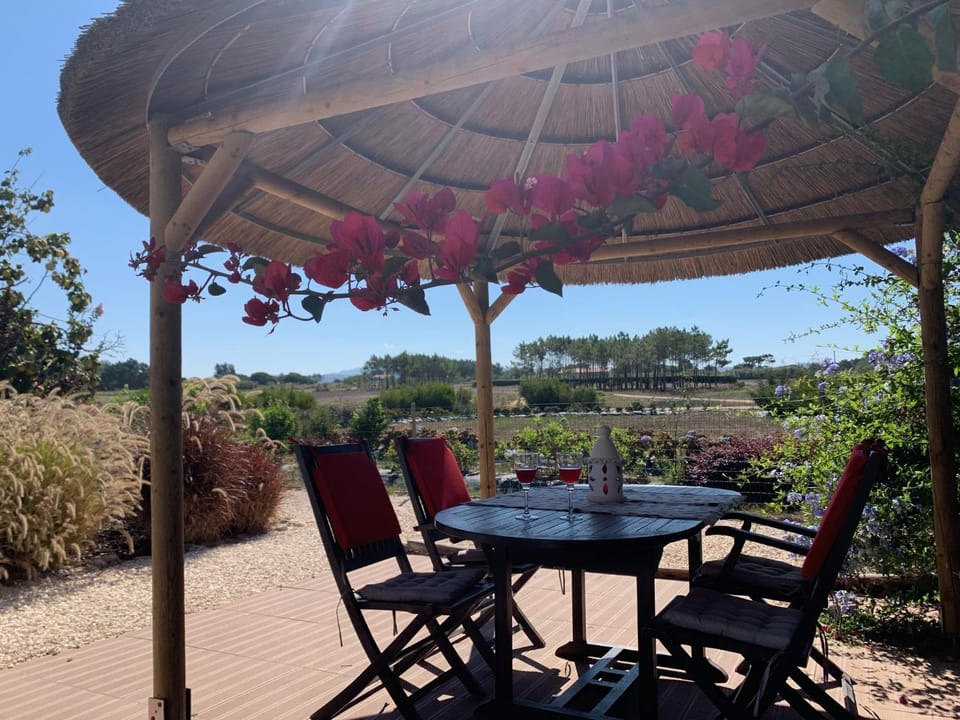 Garden, Garden view