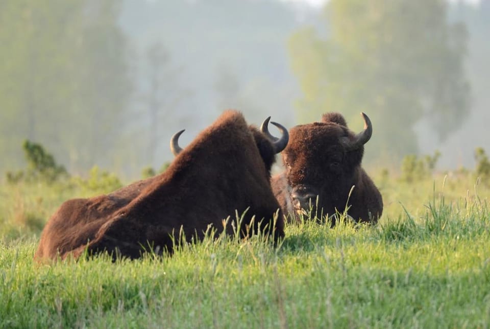 Świronek Farm Stay in Belarus