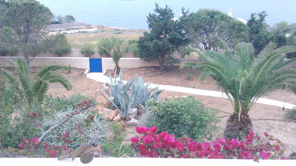 Summer, Garden, Location