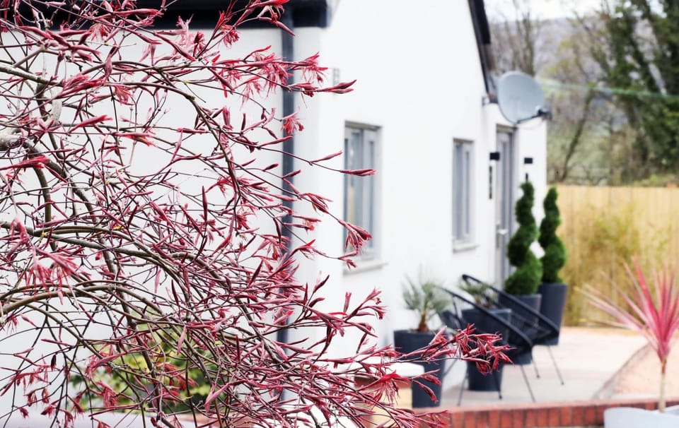 Pen-Y-Worlod Cottages House in Abergavenny