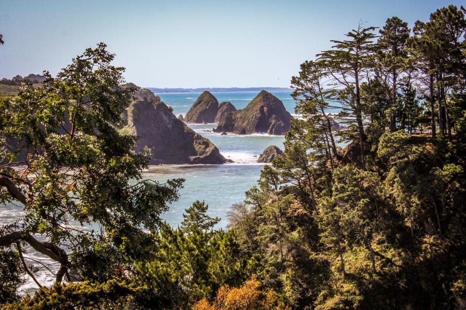 Stunning Elk House Oceanfront Deck & Views House in Elk