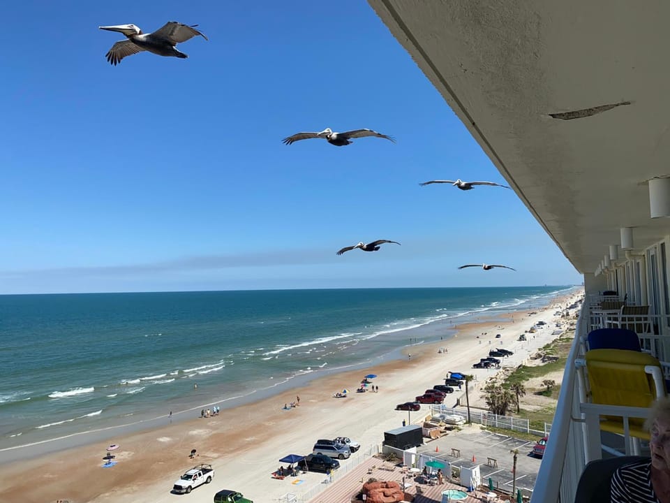 Harbour Beach Resort - Direct Oceanfront, private balcony ! Resort in Florida