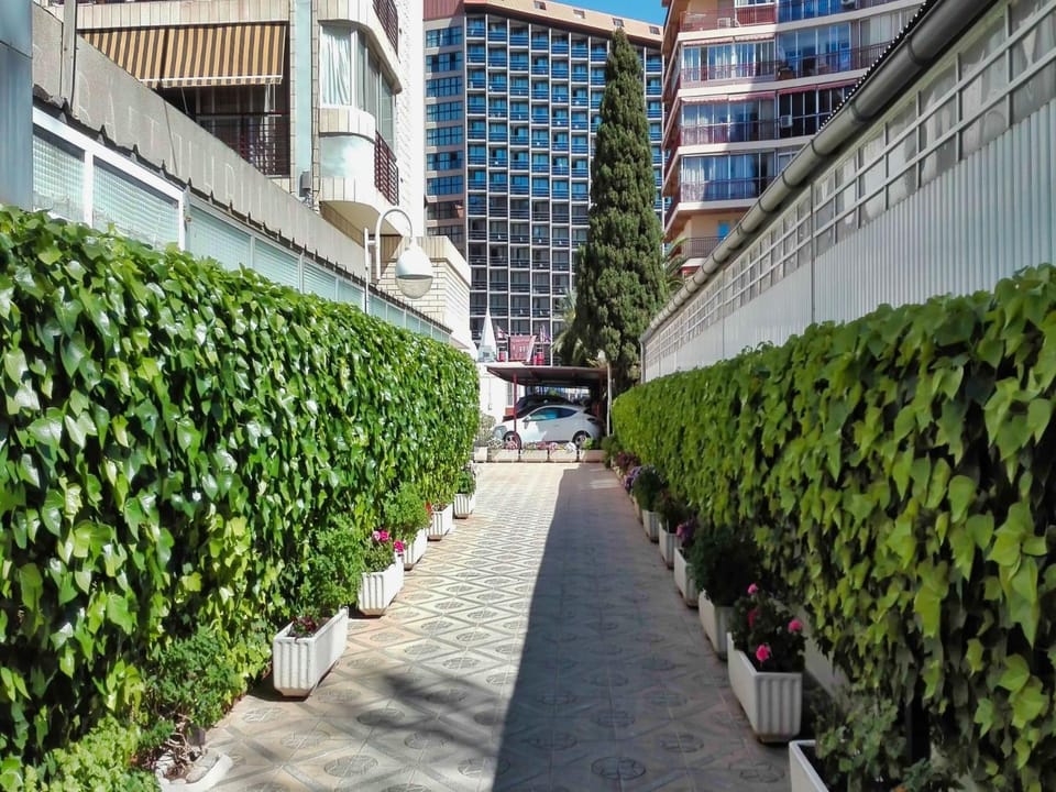 Garden, Lobby or reception, Garden view, Facility for disabled guests