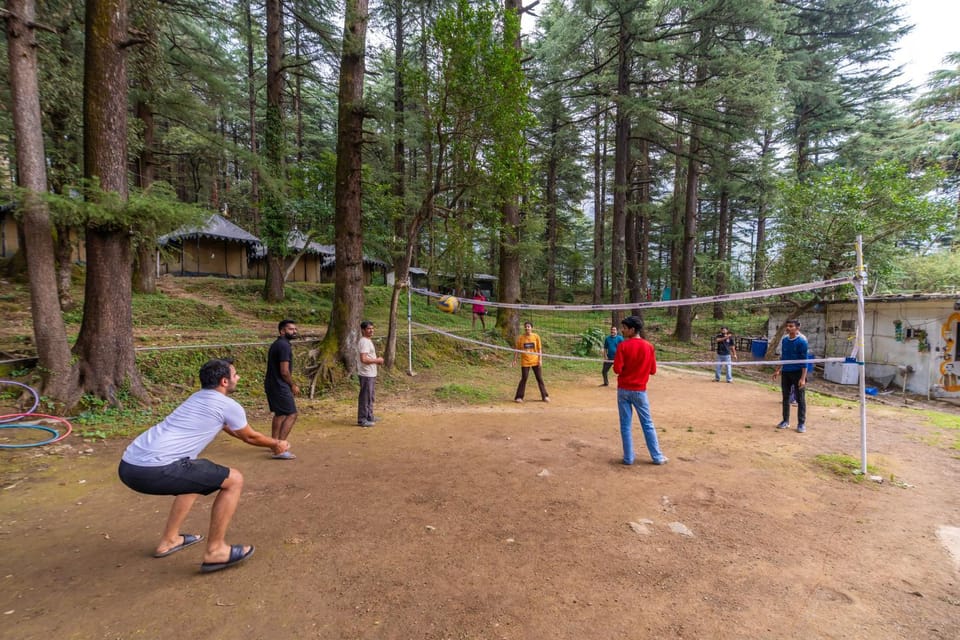 Natural landscape, group of guests