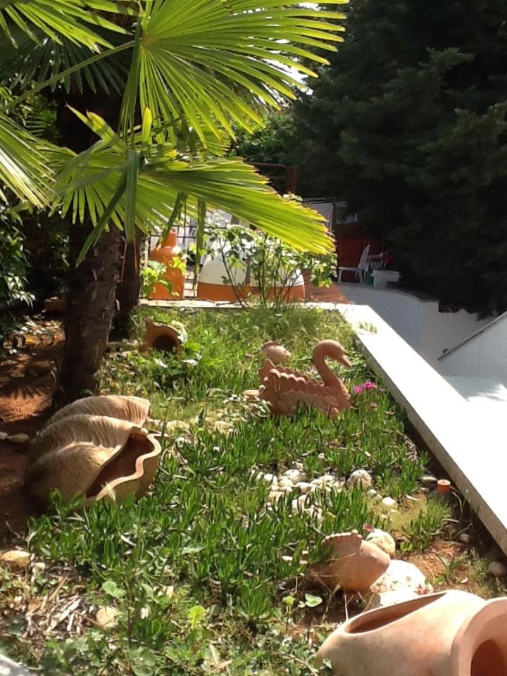 Day, Garden