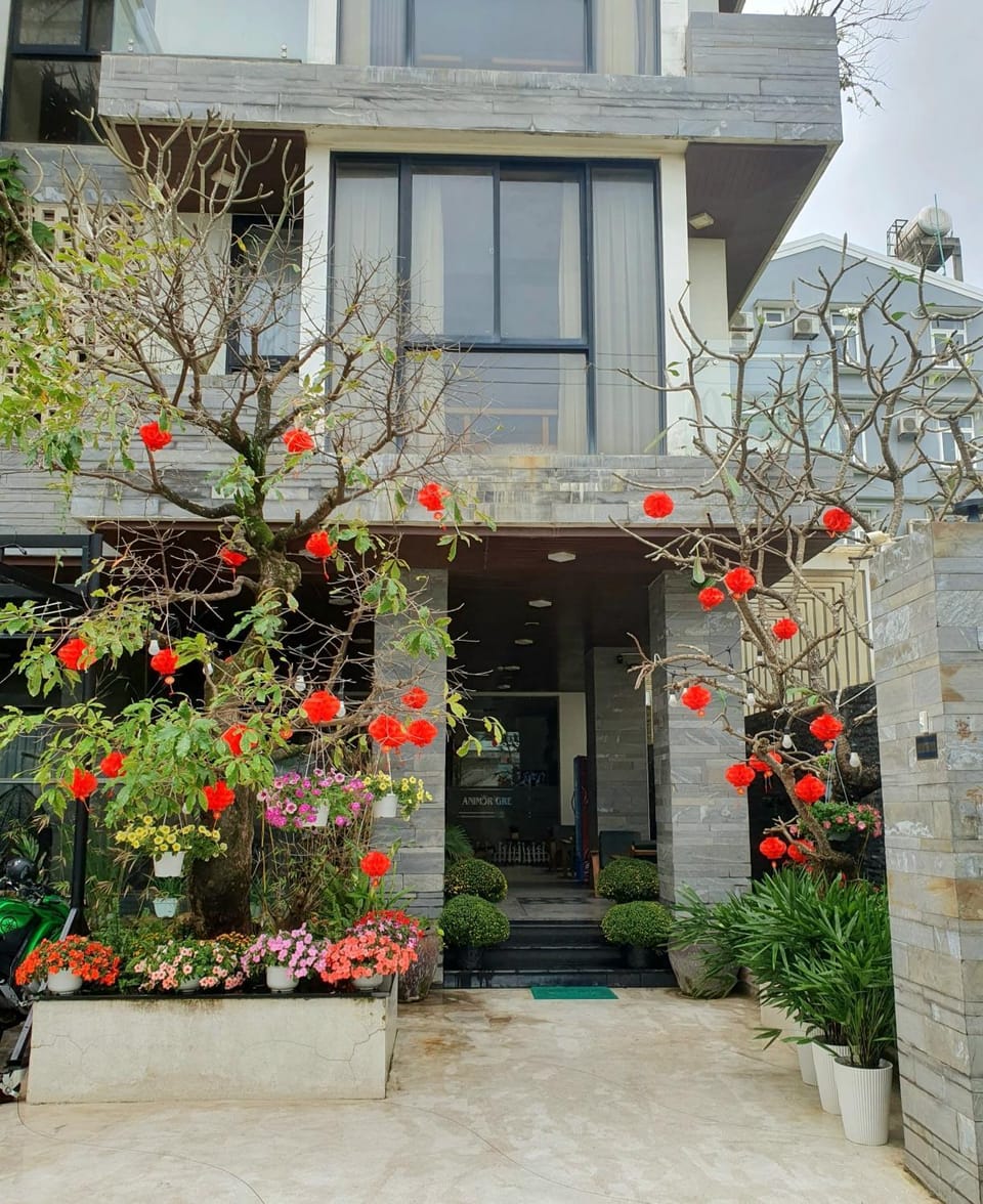 Property building, Garden view