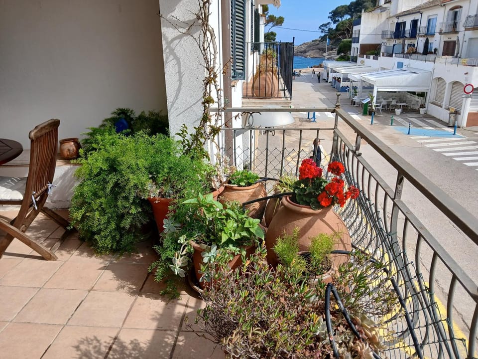 Garden, Balcony/Terrace, Balcony/Terrace, Garden view