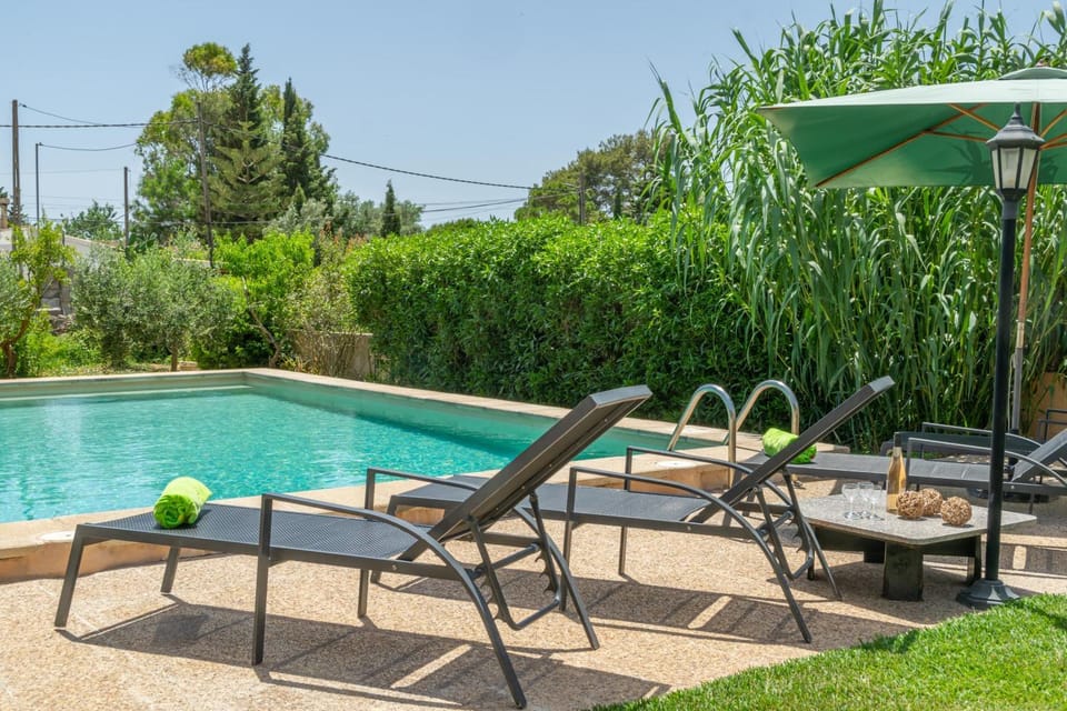 Garden view, Swimming pool, sunbed
