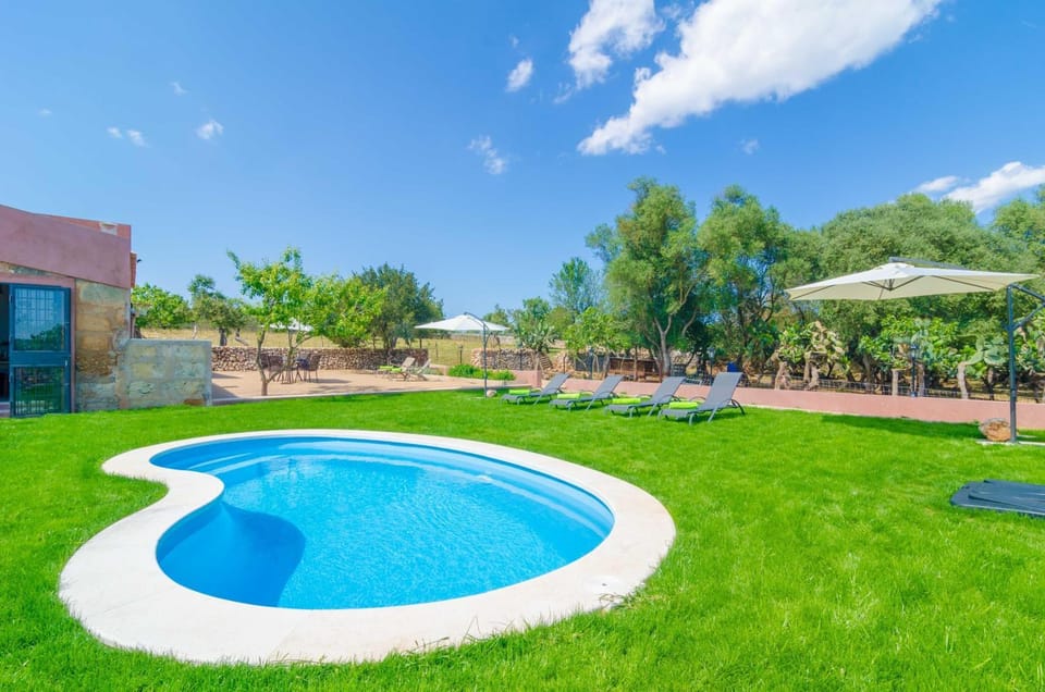 Other, Swimming pool