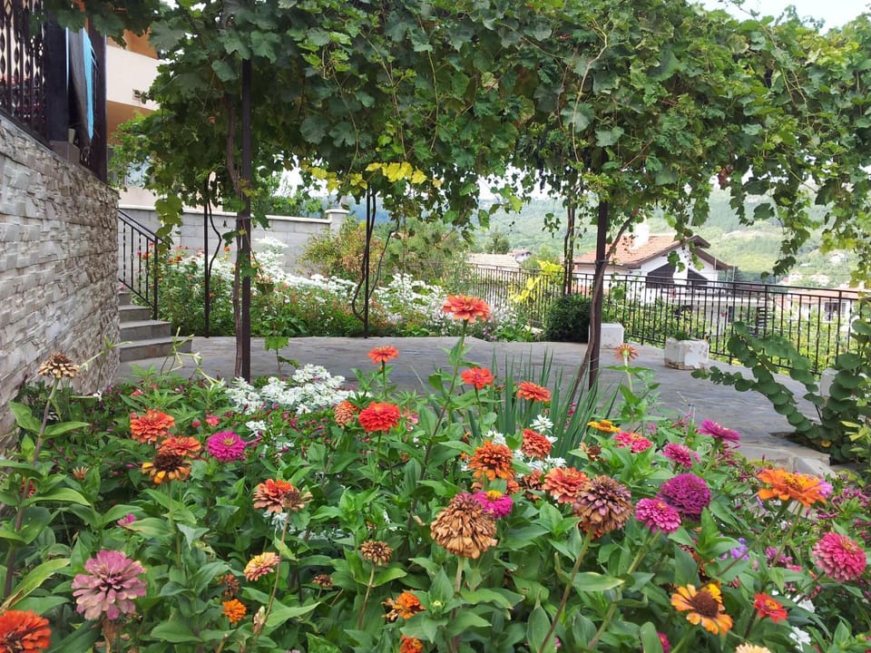 Patio, Garden