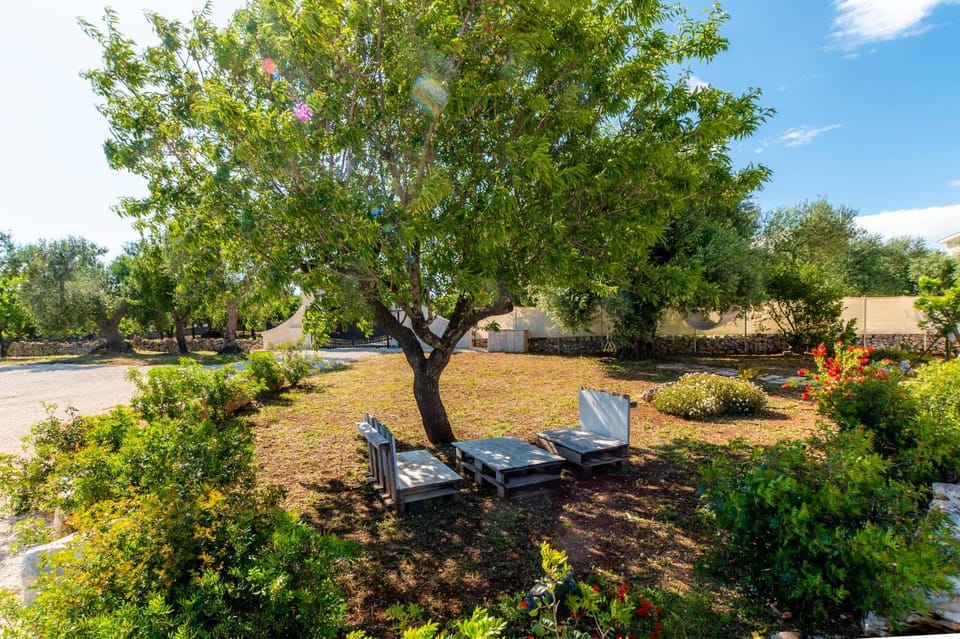Patio, Garden