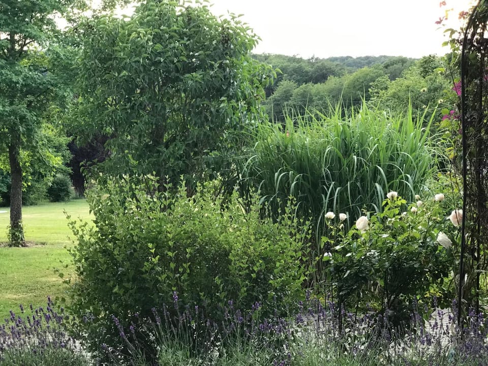 Garden, Garden view
