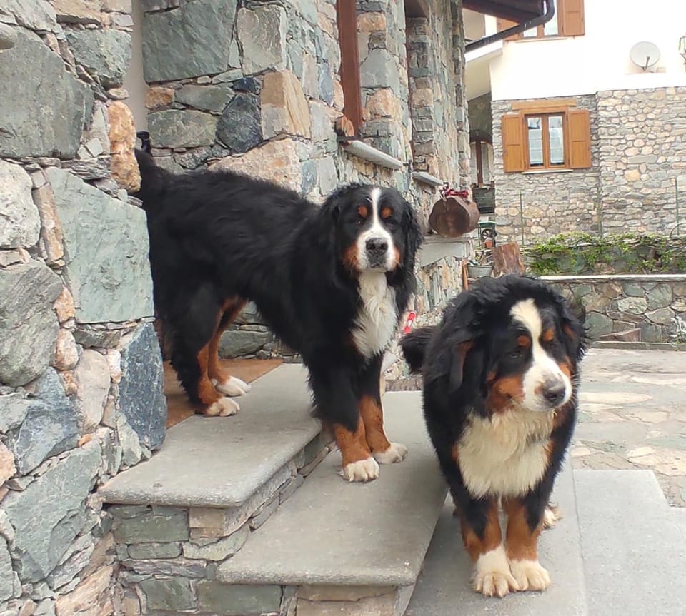 strada antica Bed and Breakfast in Piedmont