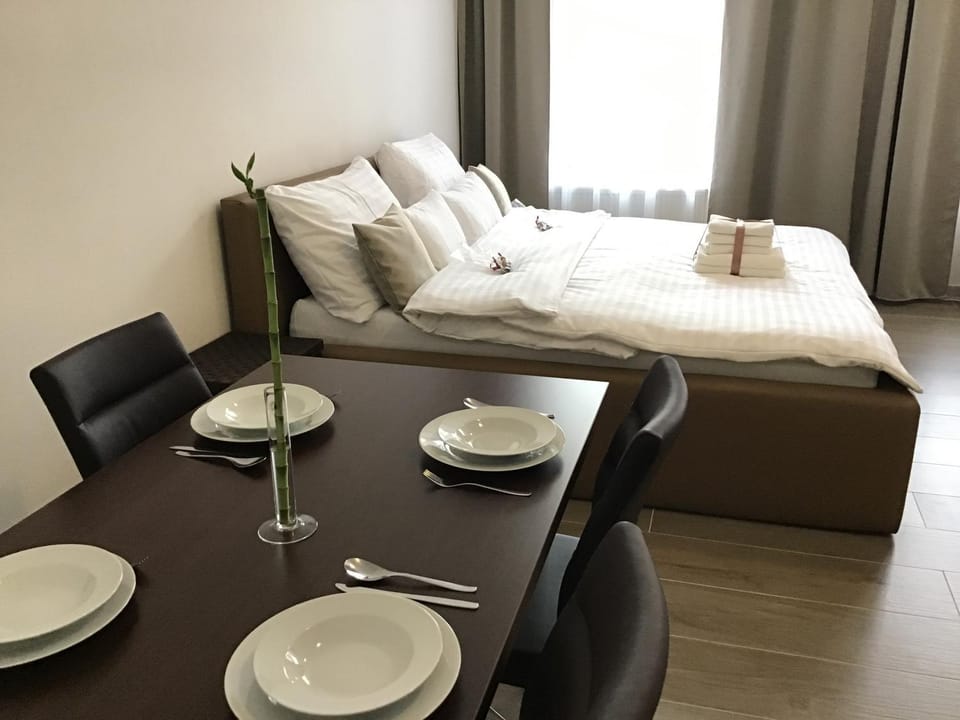 EURO APARTMENTS LIDICKÁ 39 BRNO Apartment in Brno